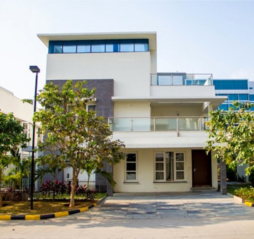  the bamboos Elevation