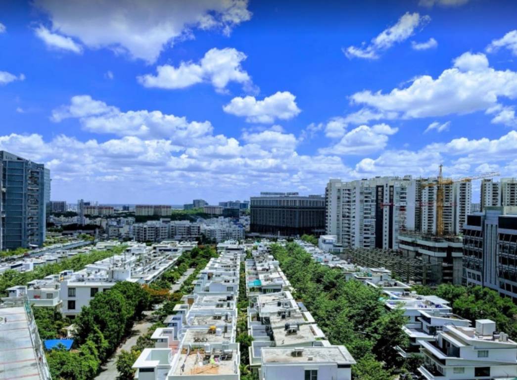  the bamboos Elevation