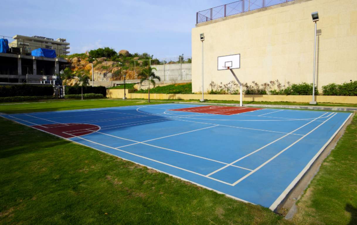  the bamboos Basketball Court