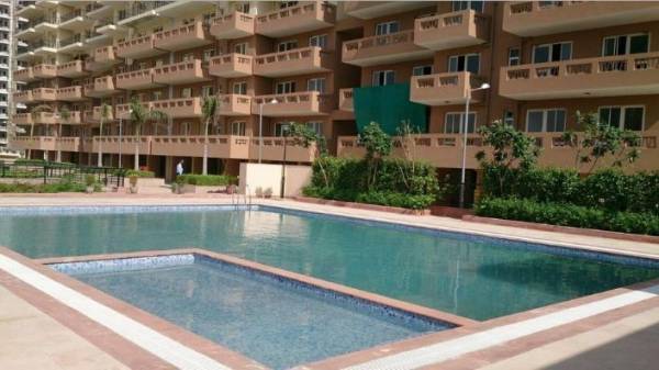  taksila-heights Swimming Pool