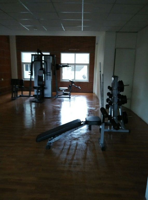  cruz luxor Gymnasium