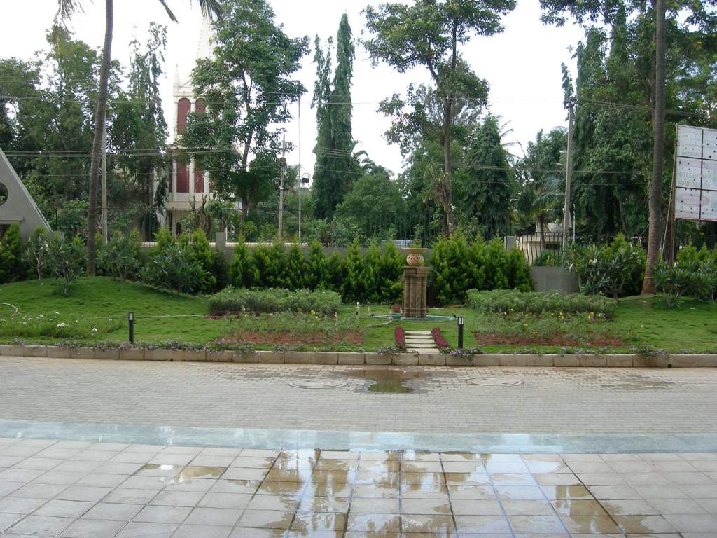  cruz luxor Landscape Garden and Tree Planting