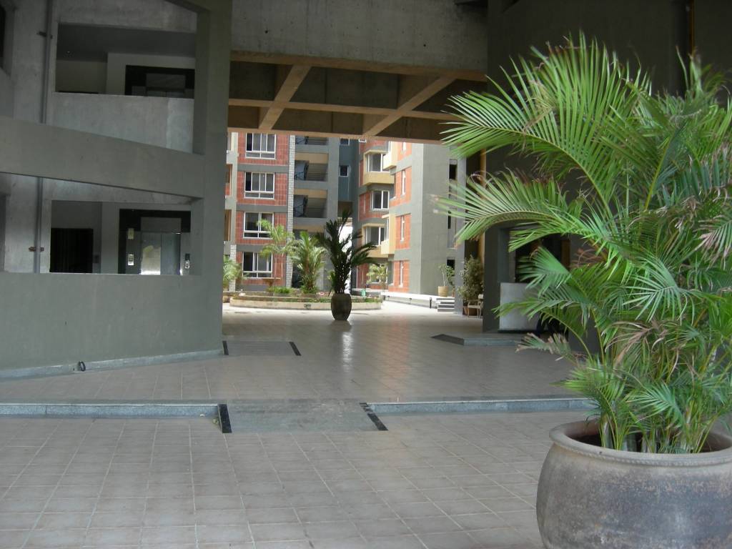  cruz luxor Paved Compound