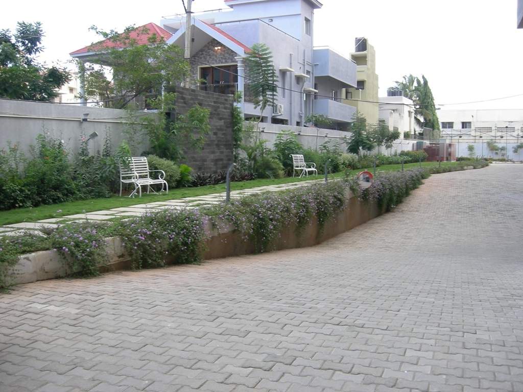  cruz luxor Senior Citizen Sitout