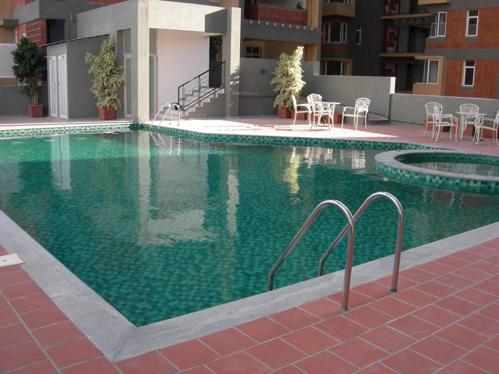  cruz luxor Swimming Pool