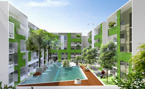  blossom Images for Elevation of Kethana Blossom