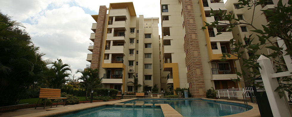 sunflower Swimming Pool