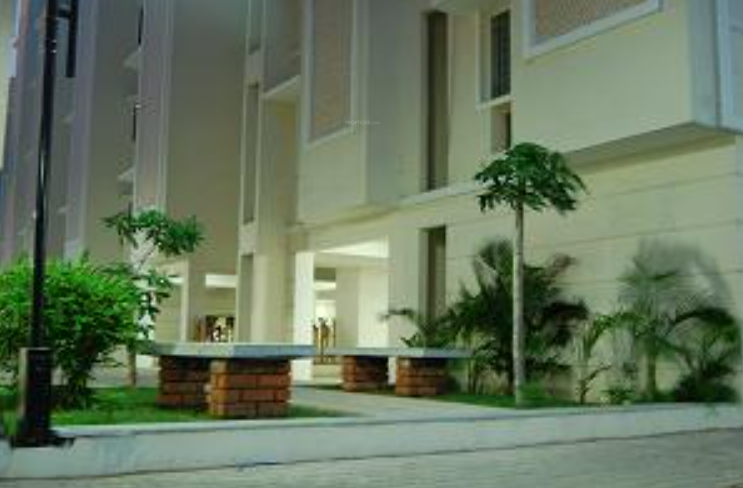  trinity park Senior Citizen Sitout