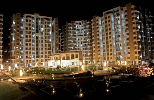 Images for Elevation of Ashapuri Eisha Pearl