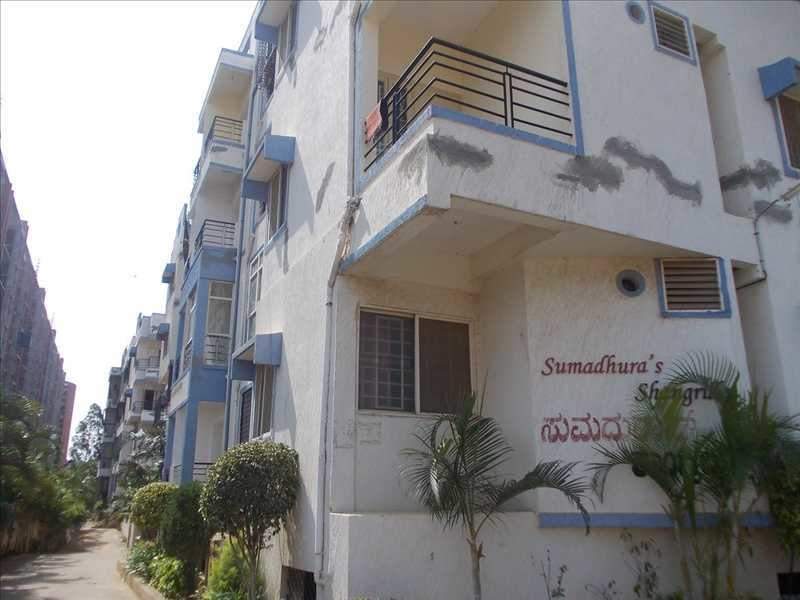  shangrilla Elevation