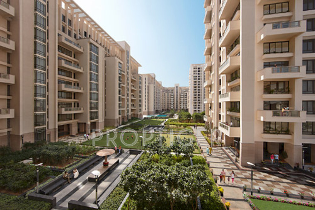 Images for Elevation of SS The Hibiscus