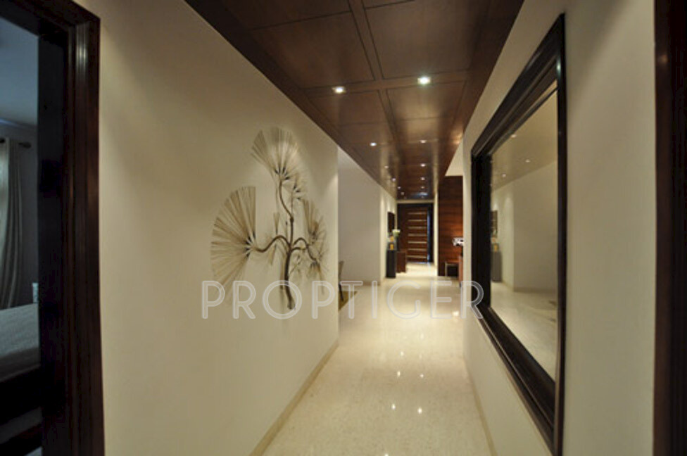 Images for Main Other of SS The Hibiscus