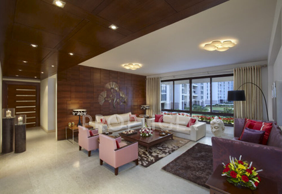 Images for Main Other of SS The Hibiscus