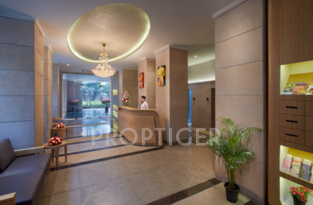 Images for Main Other of SS The Hibiscus