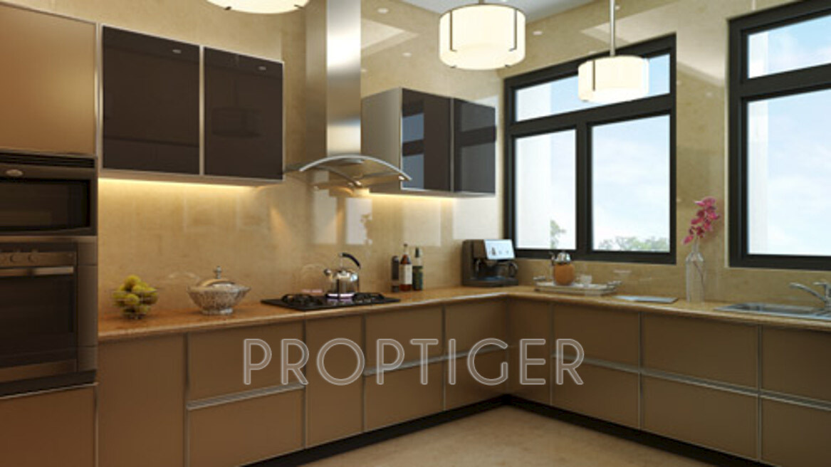 Images for Main Other of SS The Hibiscus