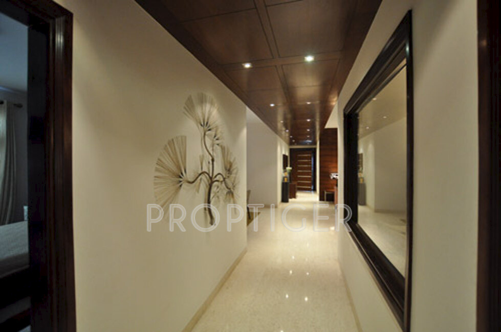 Images for Main Other of SS The Hibiscus