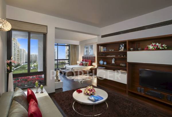 Images for Main Other of SS The Hibiscus Images for Main Other of SS The Hibiscus