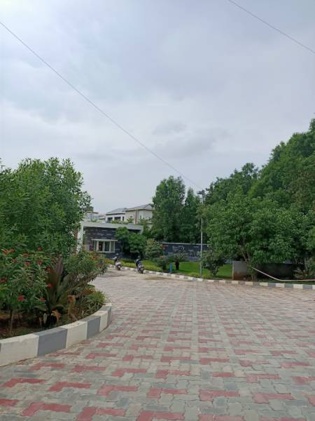 Others ceo-enclave Others