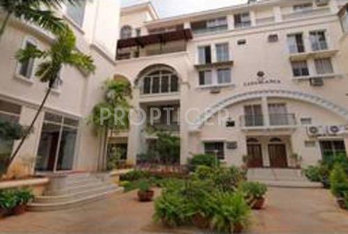  casablanca Images for Elevation of Prestige Casablanca