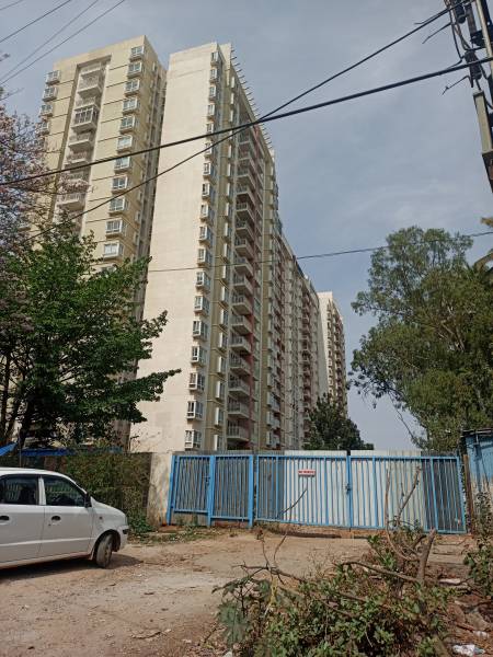 Elevation galleria Elevation