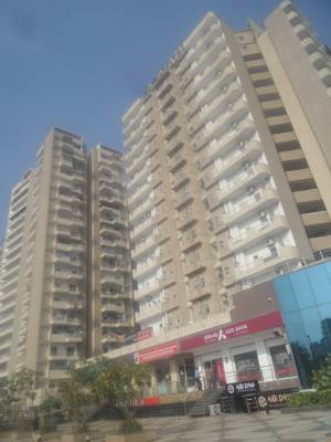 Images for Project daffodil Images for Project