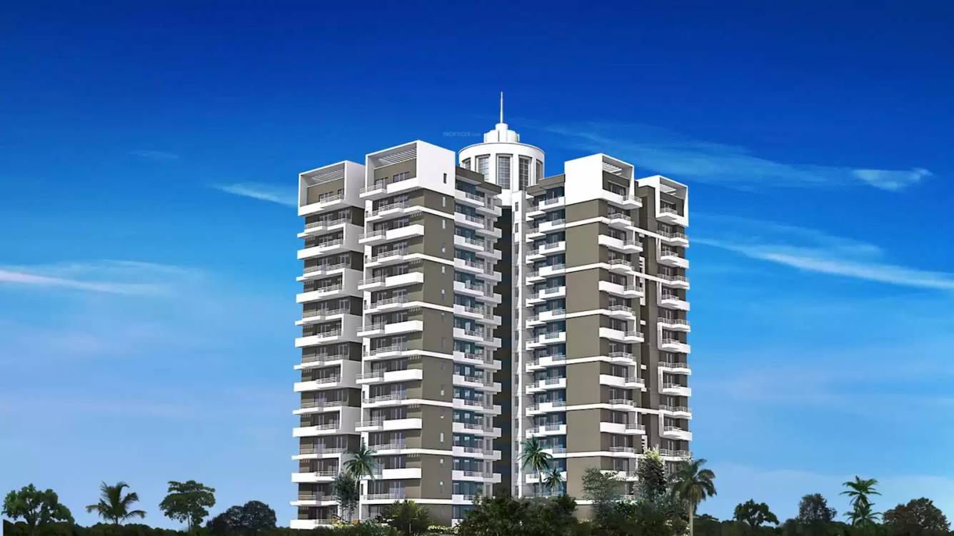  daffodil Images for Project