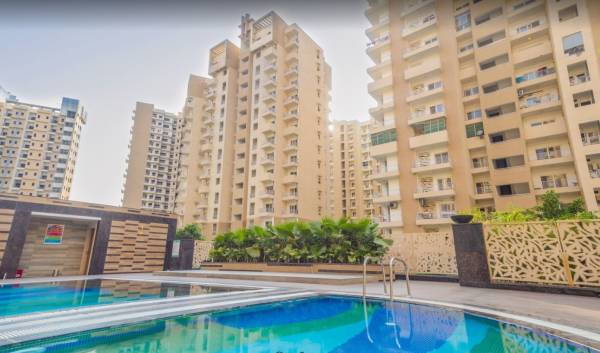 Swimming Pool amenities of Ajnara Daffodil