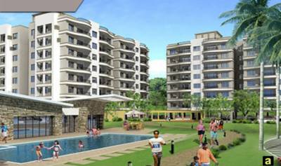 Images for Elevation of Pride Purple Topaz Park