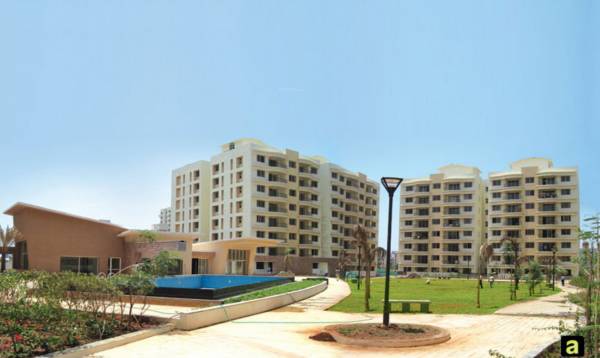 Images for Elevation of Pride Purple Topaz Park