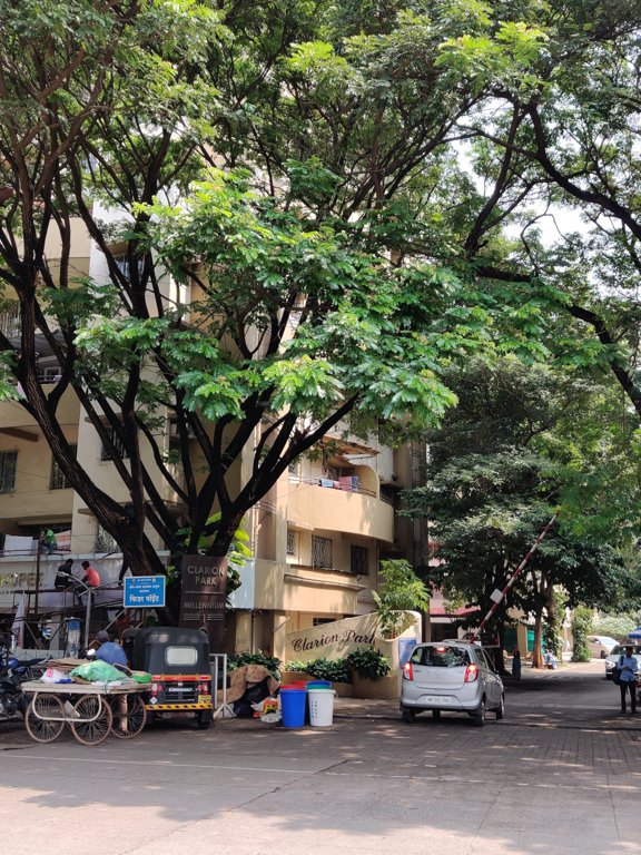  clarion park Elevation