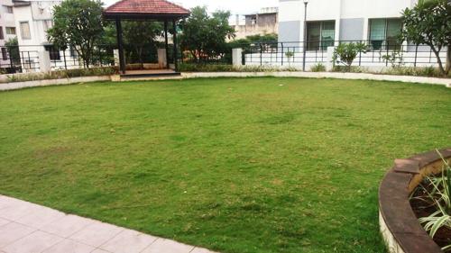  silver-mist Landscape Garden and Tree Planting