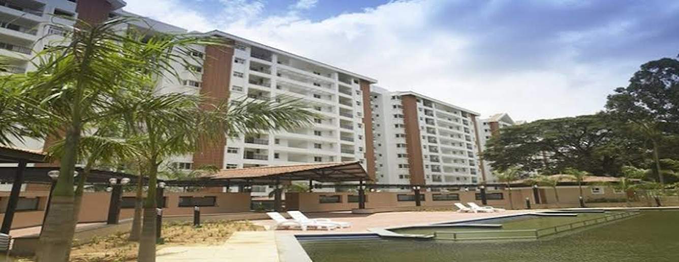  wellington park Elevation