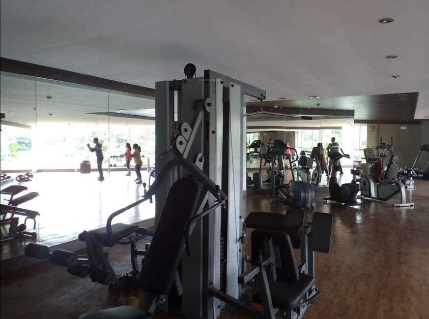  wellington park Gymnasium