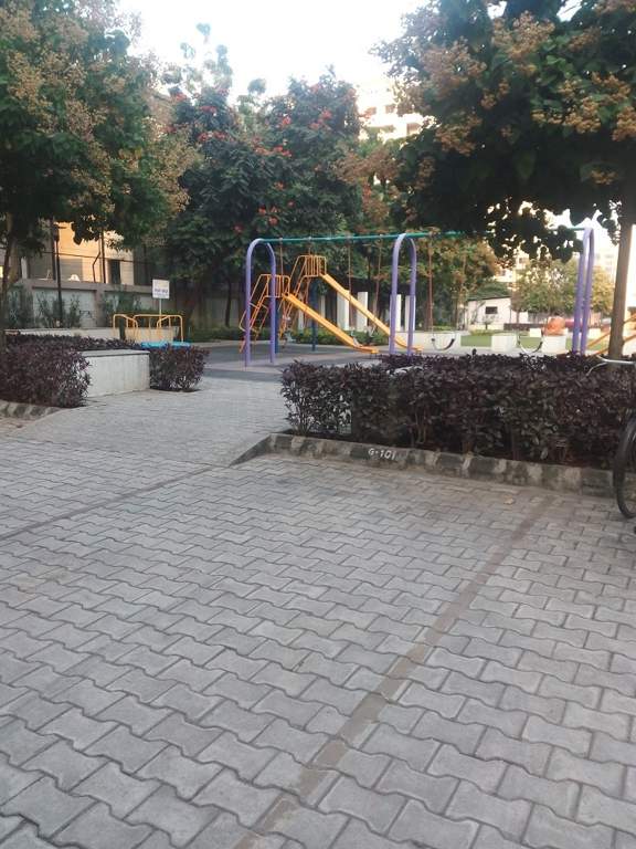  zinnia Children's play area