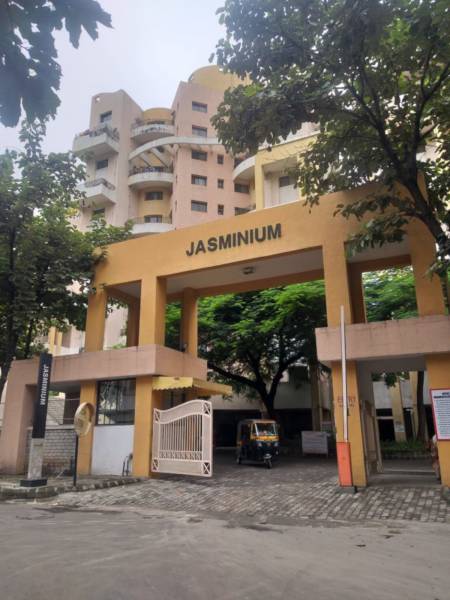  jasminium Images for Project