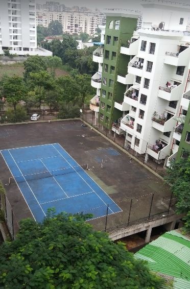  whistling-palms Others