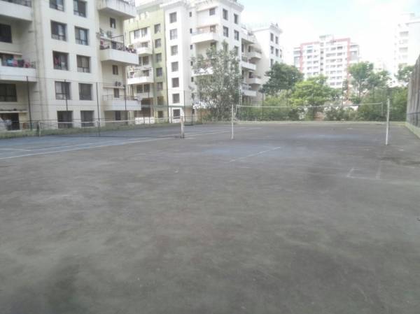  whistling-palms Others