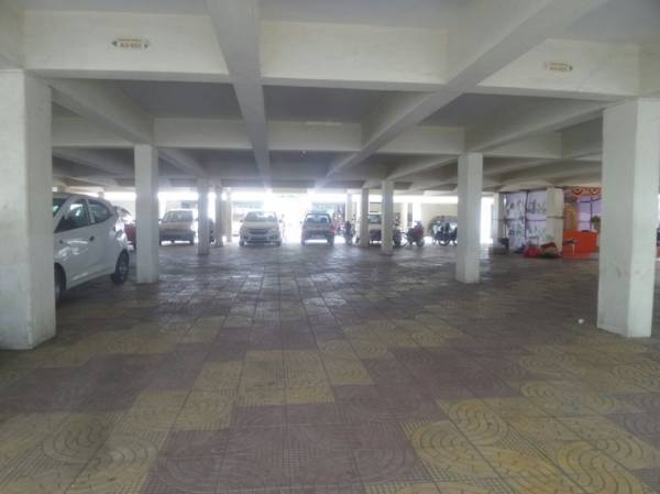  whistling-palms Others