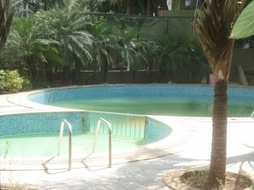  whistling palms Swimming Pool