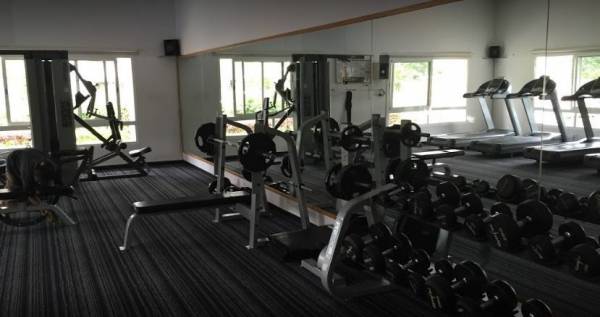  chrysanthemum Gymnasium