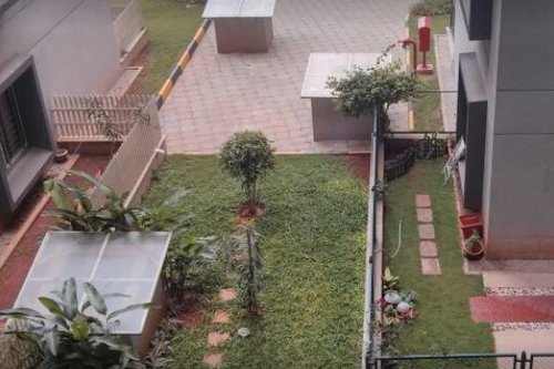  chrysanthemum Landscaped Gardens