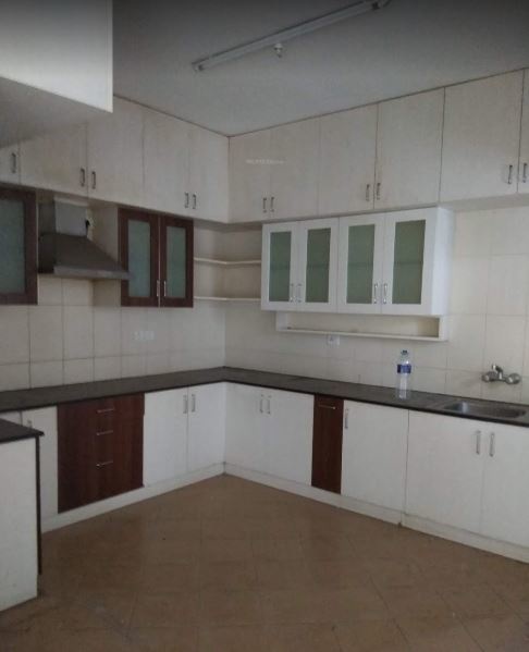  chrysanthemum Kitchen