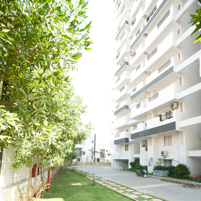  bloomfield elation towers Elevation