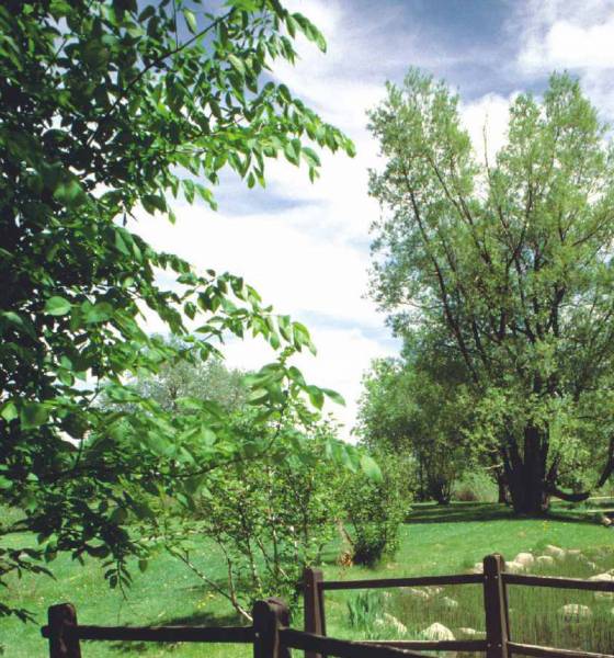 Images for Amenities of Aditya Eden Woods