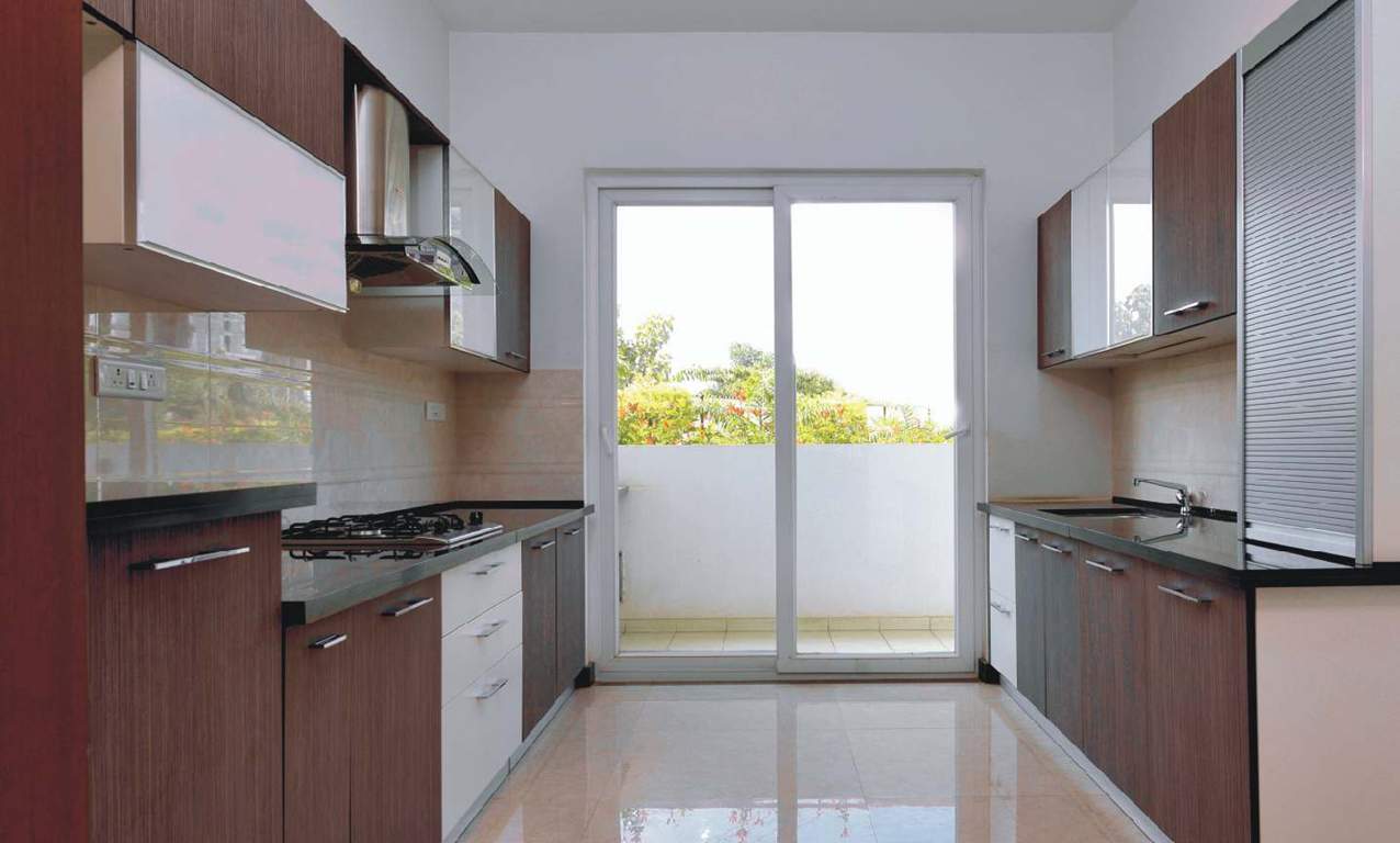  dhavala Images for Main Other of Krishvi Dhavala