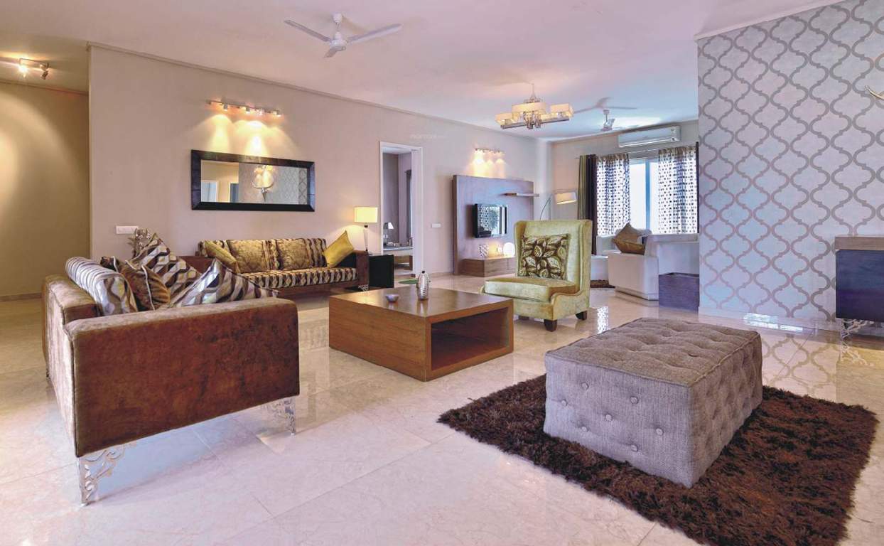  dhavala Images for Main Other of Krishvi Dhavala