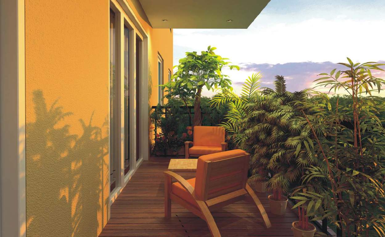  dhavala Images for Main Other of Krishvi Dhavala