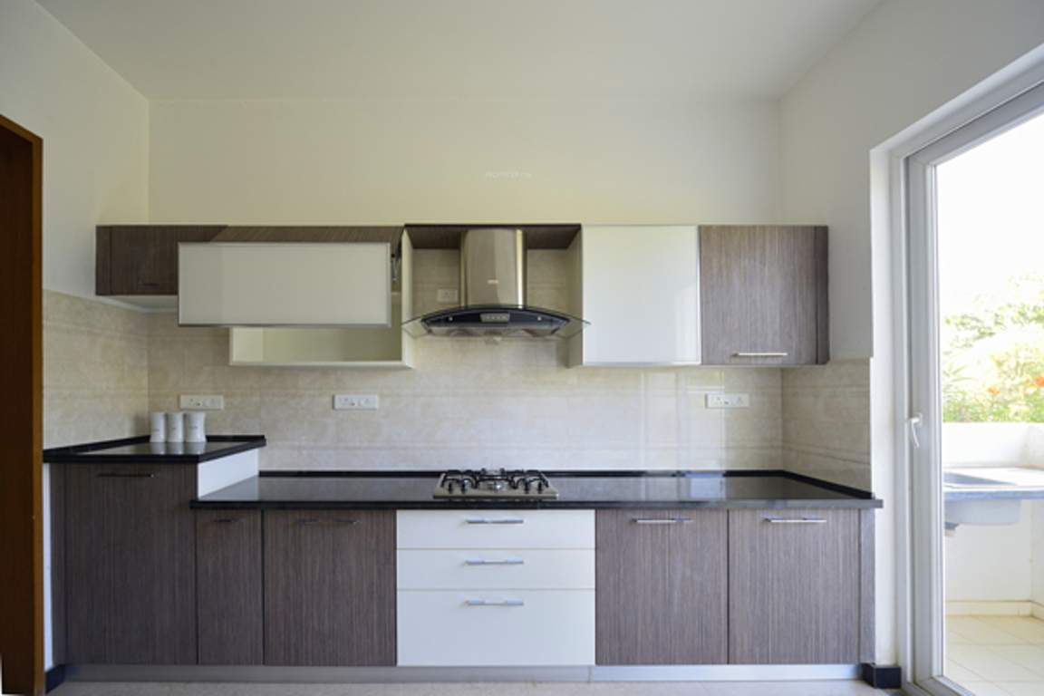  dhavala Images for Main Other of Krishvi Dhavala