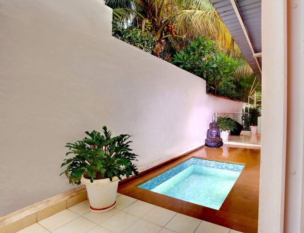  dhavala Images for Main Other of Krishvi Dhavala