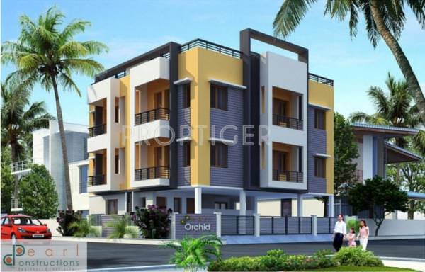 Images for Elevation of Pearl Orchid
